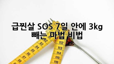 🚨 급찐살 SOS! 7일 안에 3kg 빼는 마법 비법 🪄